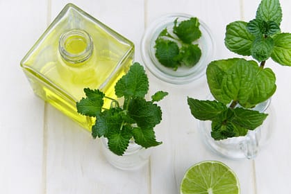 Les huiles essentielles